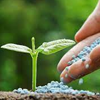 FERTILIZER